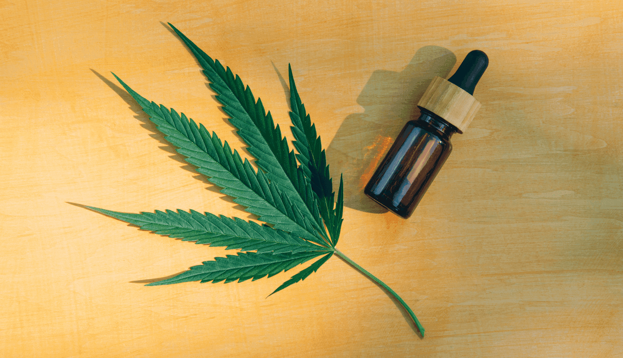 grünes Cannabis Blatt und Extrakt